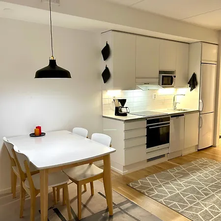 Apartment Moderni Viihtyisae Kaksio Jyvaeskylaessae Ilmaisella Pysaekoeintipaikalla