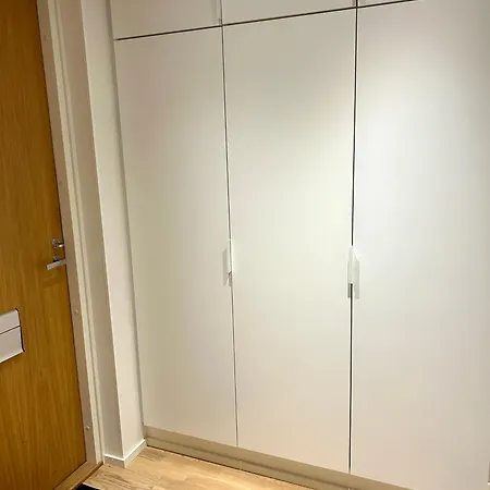 Moderni Viihtyisae Kaksio Jyvaeskylaessae Ilmaisella Pysaekoeintipaikalla Jyvaskyla