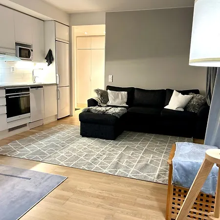 Moderni Viihtyisae Kaksio Jyvaeskylaessae Ilmaisella Pysaekoeintipaikalla